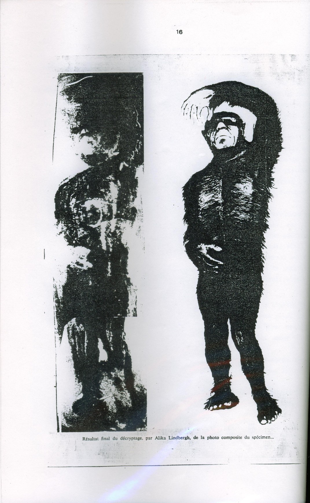 r&eacute;sultat du d&eacute;cryptage, par Alika  Lindbergh de la photo composite du cadavre congel&eacute;